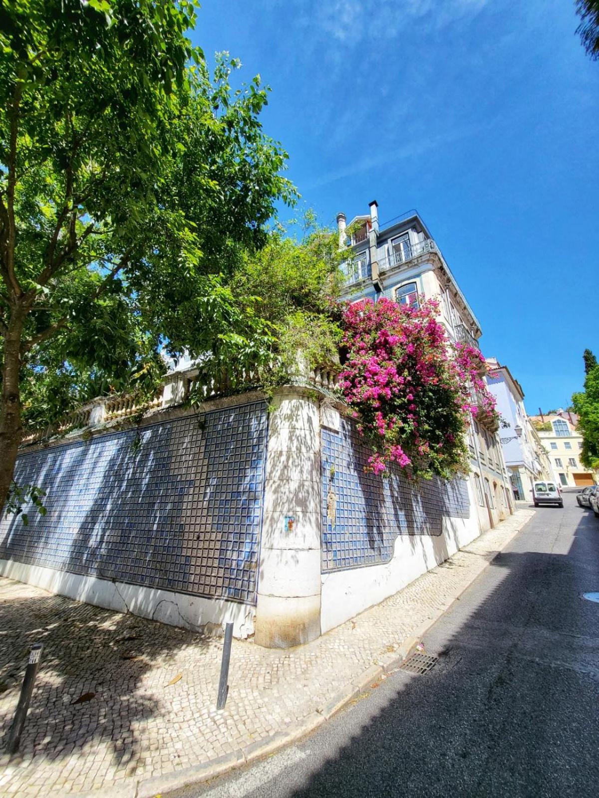 Apartment Principe Real Lisbon